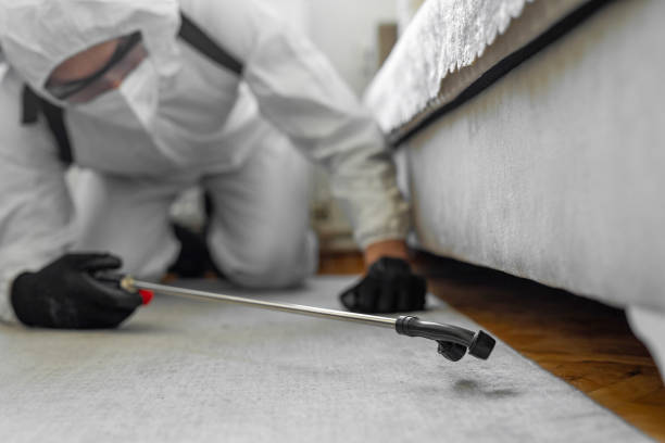 Professional Rodent Control technician working in Laguna Beach, CA