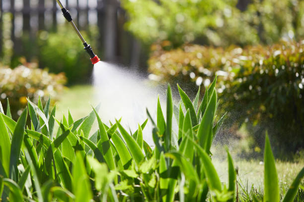 24/7 Emergency Rodent Control experts in Laguna Beach, CA
