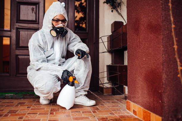 Reliable Rodent Control contractor in Laguna Beach, CA by Nex Pest Control
